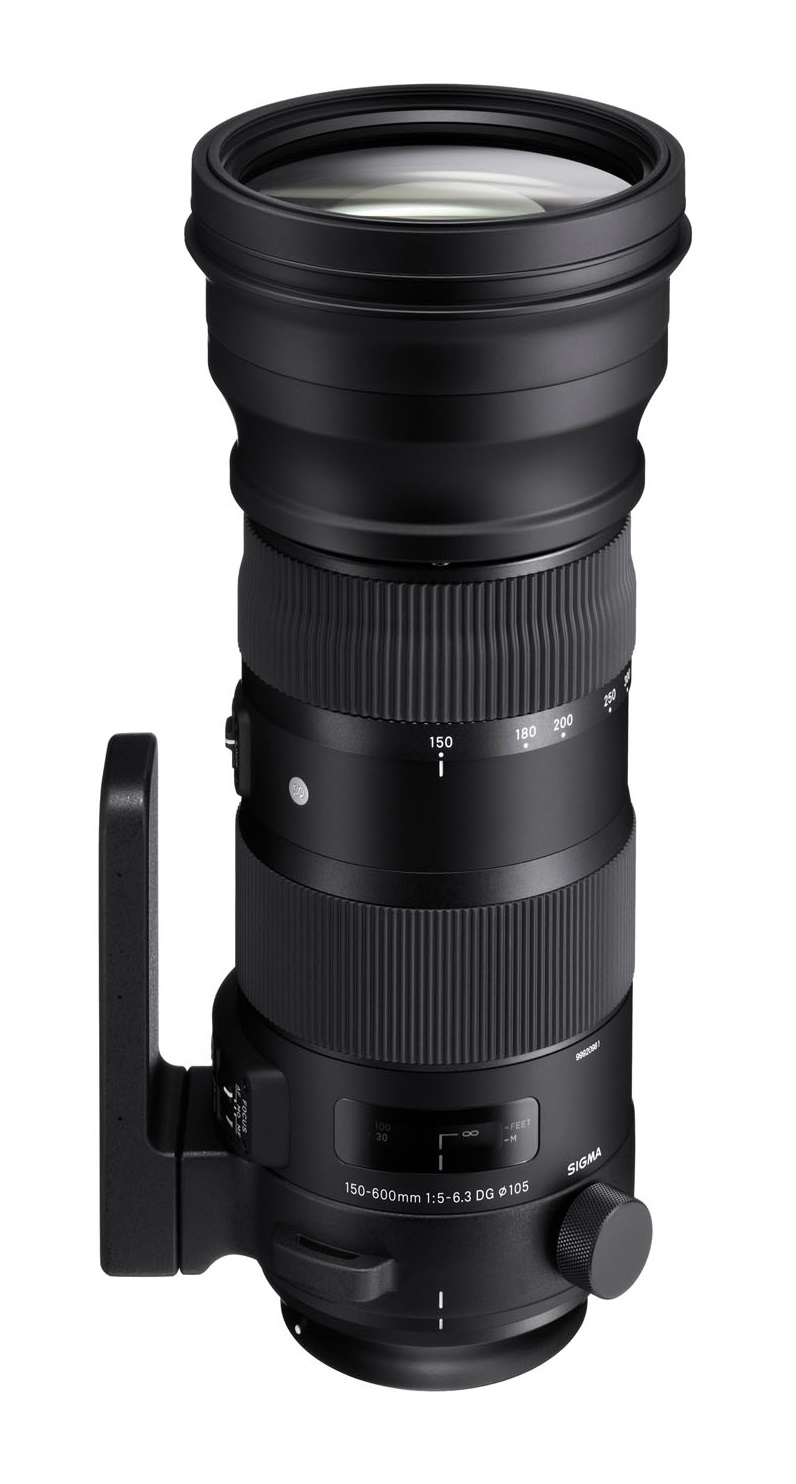 Sigma 150-600mm F5-6.3 DG OS HSM Sports Canon EF