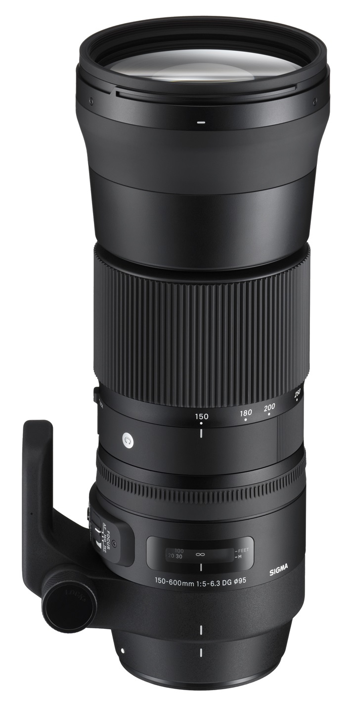 Sigma 150-600mm F5-6.3 DG OS HSM (C) Canon EF