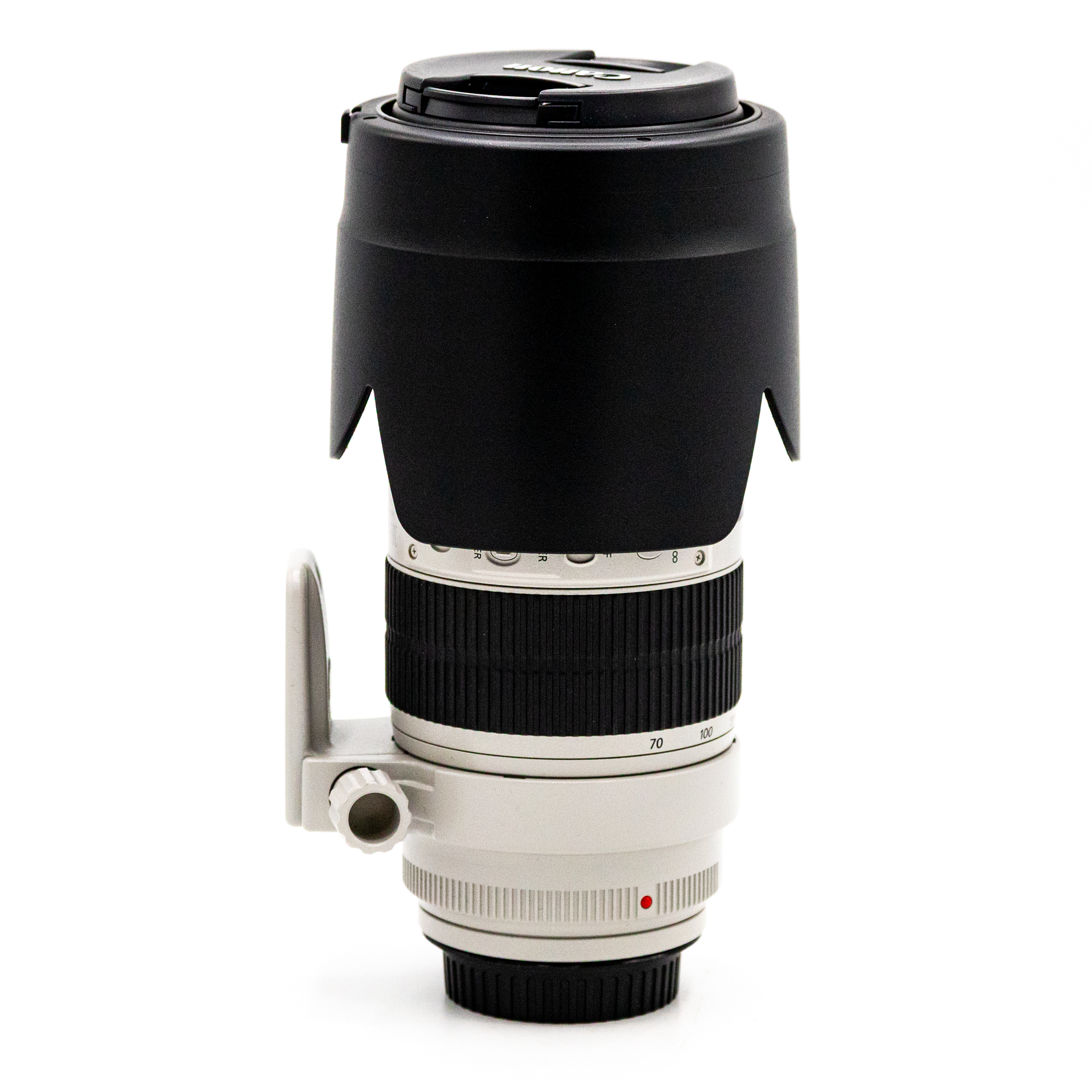 Canon Ef 70-200 f/2.8 (occ_6534)