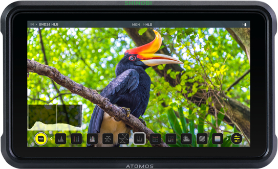 Atomos Shinobi 13,2 cm (5.2) Zwart 1920 x 1080 Pixels"