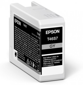 Epson Singlepack Gray T46S7