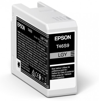 Epson Singlepack Light Gray T46S9