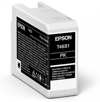 Epson Singlepack Photo Black T46S1