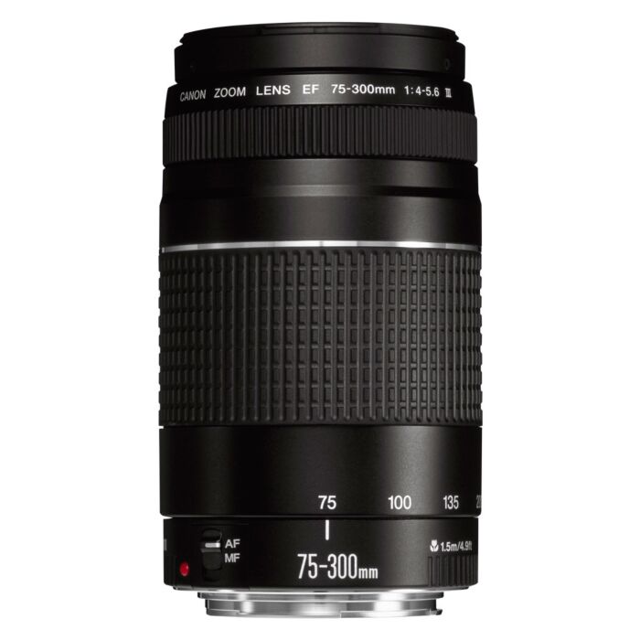 Canon EF DC  4,0-5,6/75-300 III