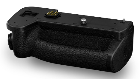Panasonic DMW-BG2E batterij voor camera's/camcorders Lithium-Ion (Li-Ion) 2200 mAh