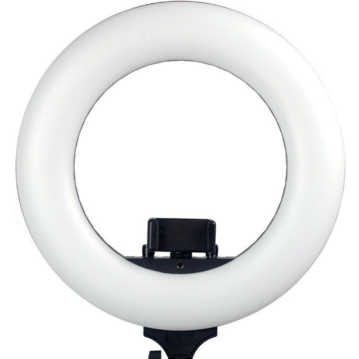 Caruba Round Vlogger 12 inch LED set met tas - Black