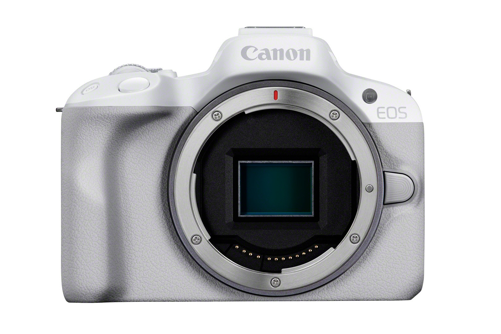 Canon EOS R50, White + RF-S 18-45mm F4.5-6.3 IS STM Wit