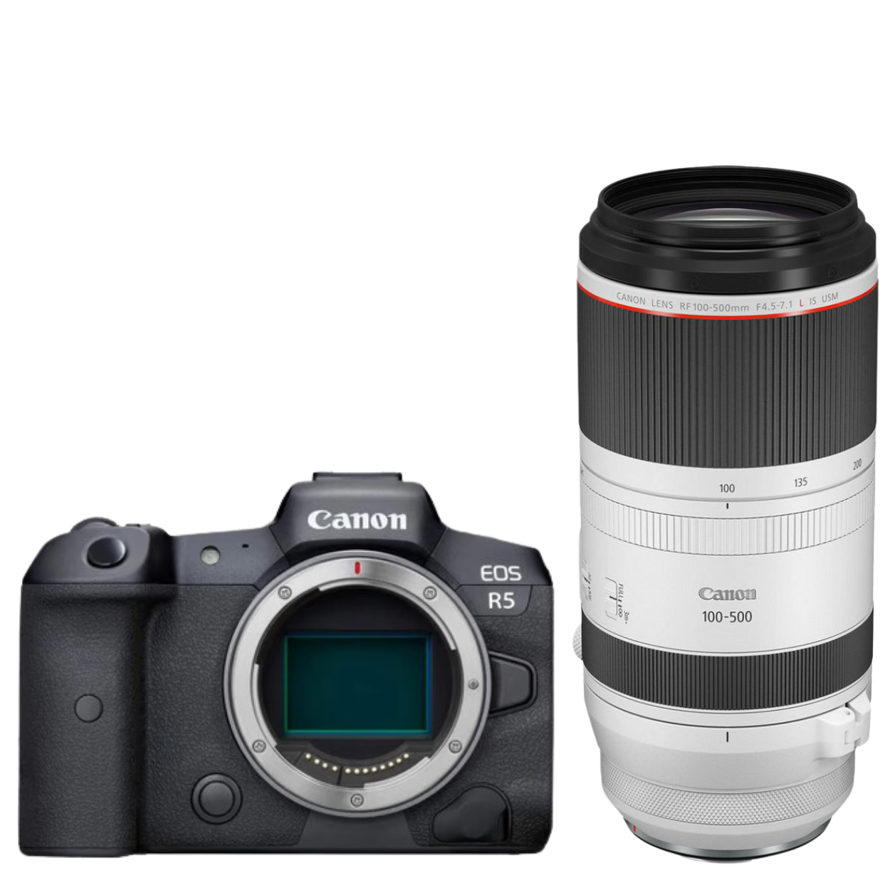 Canon EOS R5 + RF 100-500mm f/4.5-7.1L IS USM