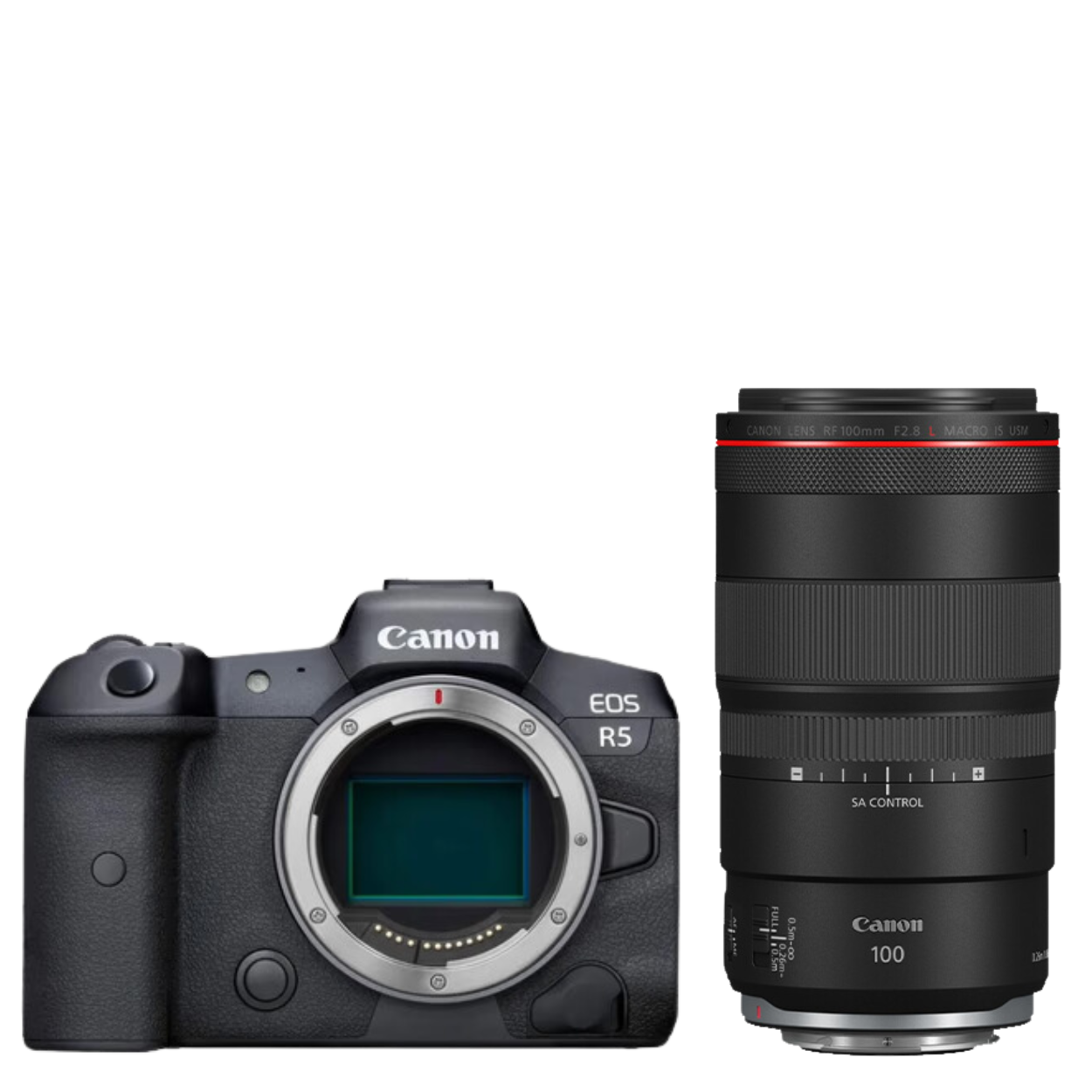 Canon EOS R5 + RF 100mm f/2.8L Macro IS USM