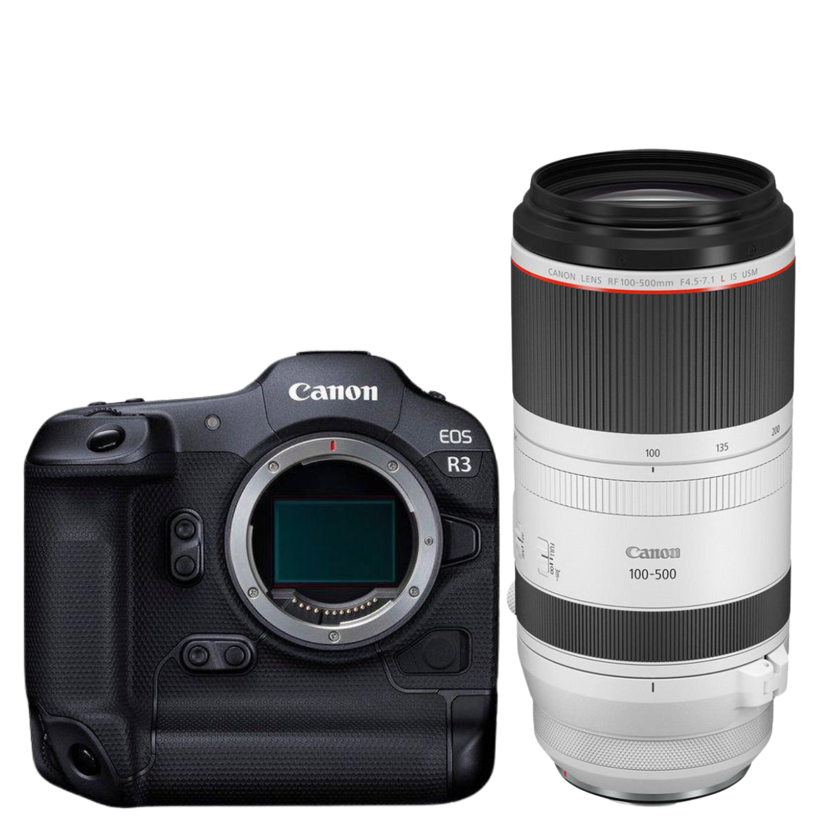 Canon EOS R3 + RF 100-500mm f/4.5-7.1L IS USM