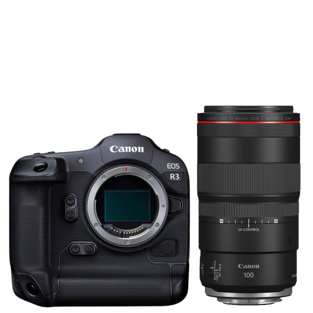 Canon EOS R3 + RF 100mm f/2.8L Macro IS USM