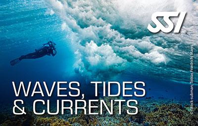 Moby Dick - Waves, tides and currents