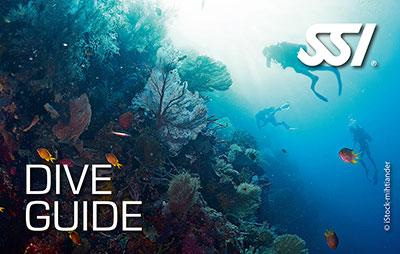 Moby Dick - Dive Guide