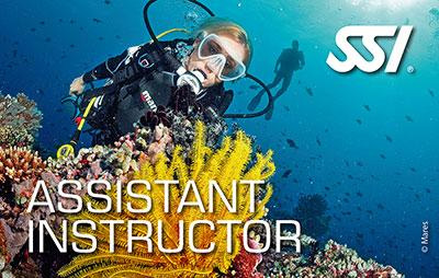 Moby Dick - Assistant Instructor