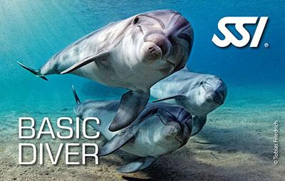 Moby Dick - Basic Diver