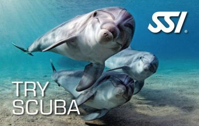 Moby Dick - Try Scuba